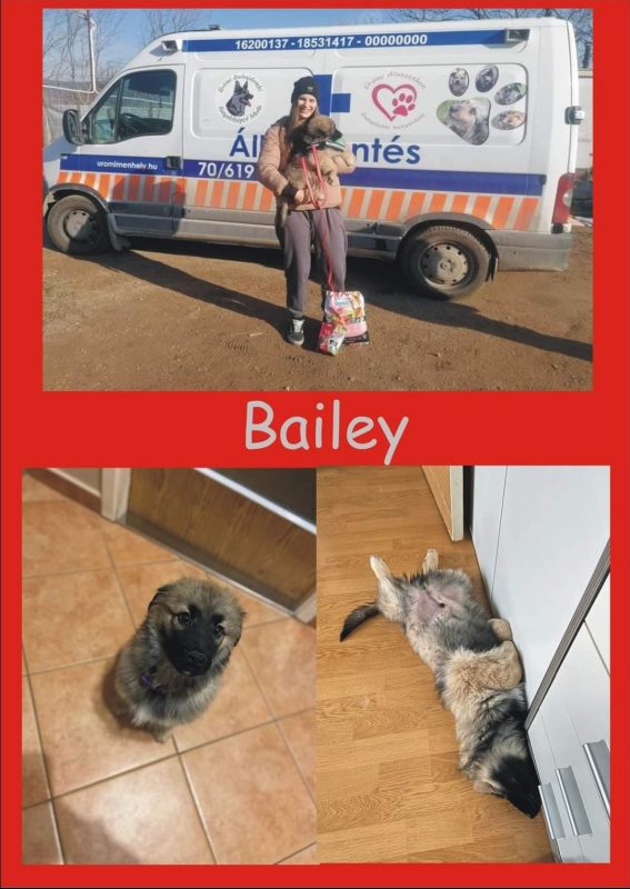 Bailey