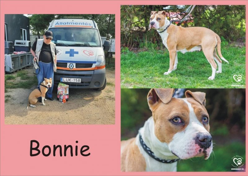 Bonnie