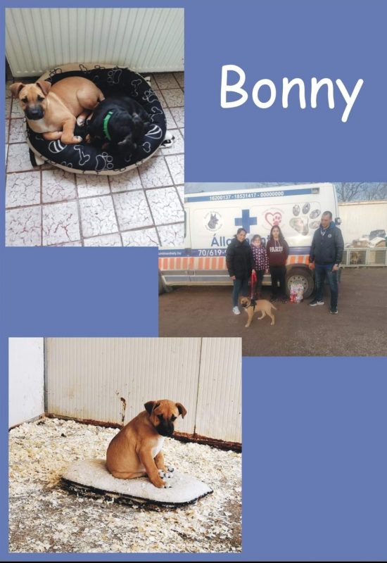 Bonny