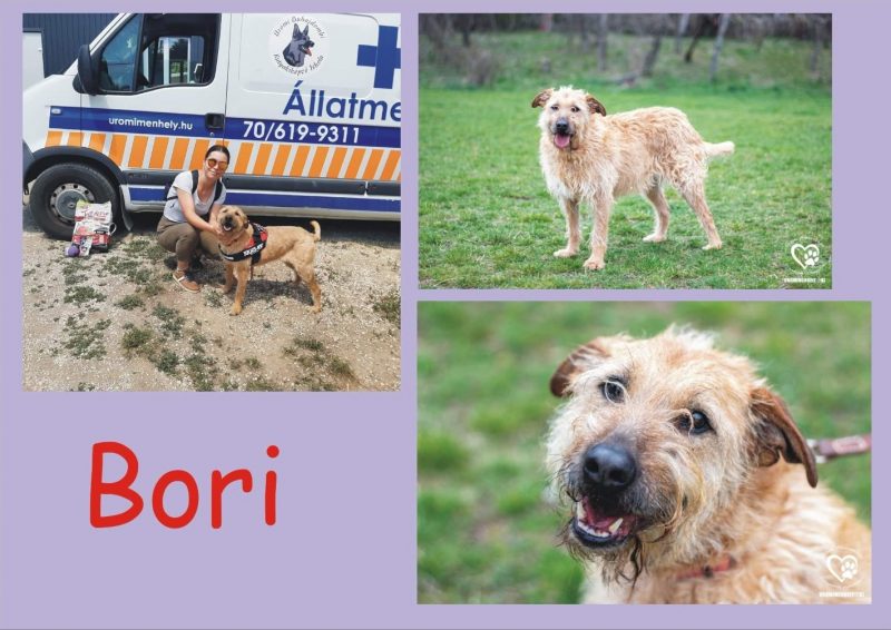 Bori