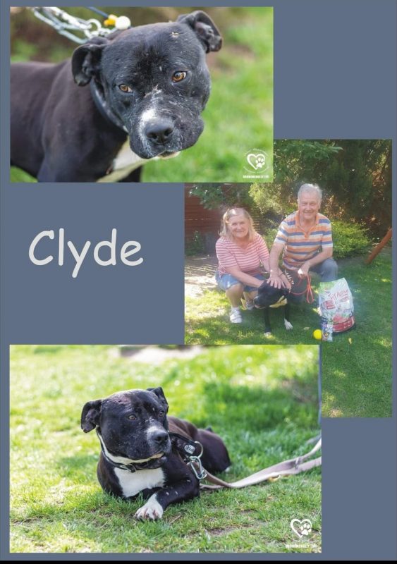 Clyde