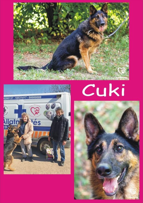 Cuki