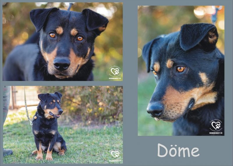 Döme