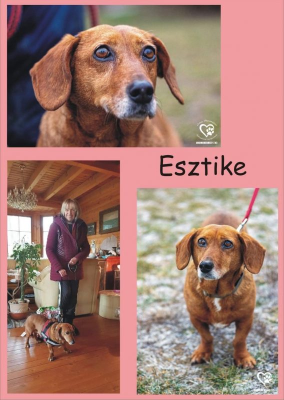 Esztike