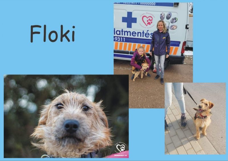 Floki