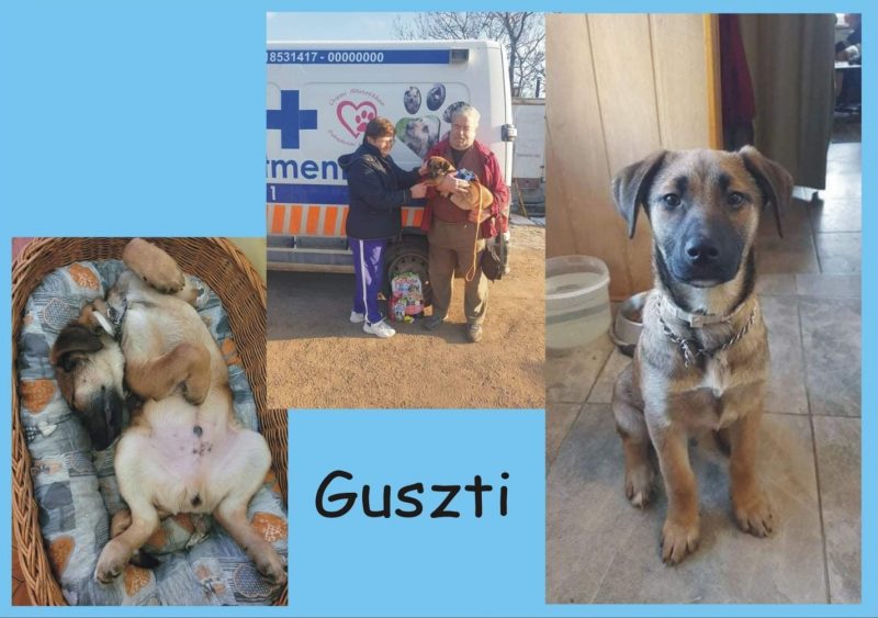 Guszti
