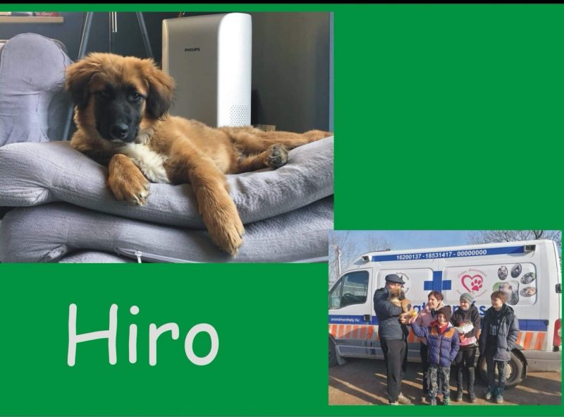 Hiro