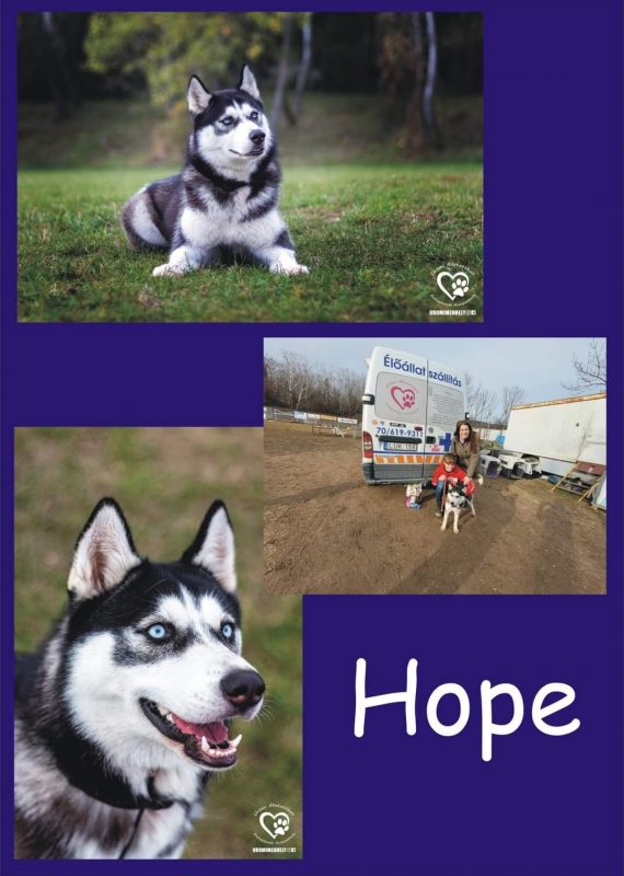 Hope
