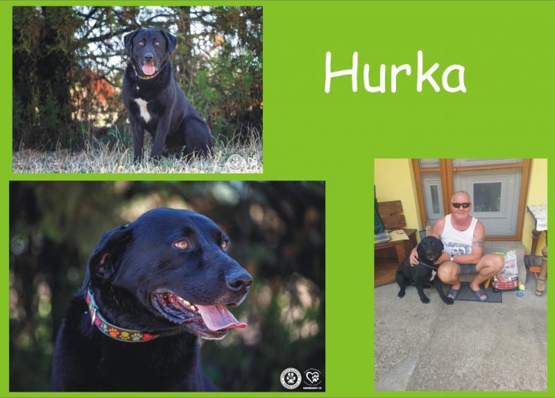 Hurka