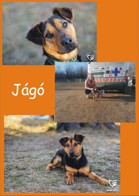 Jágó