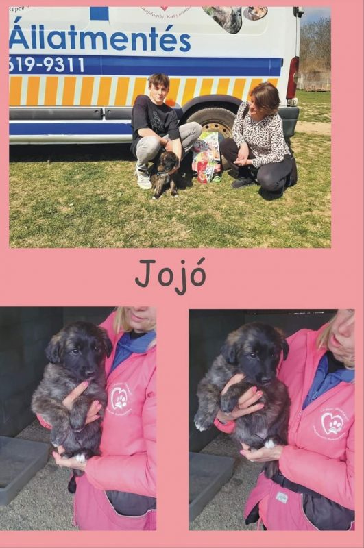 Jojó