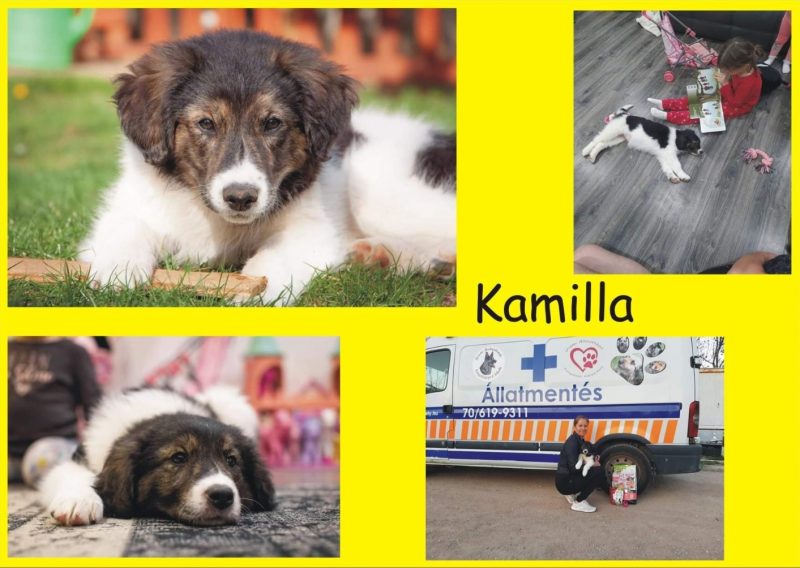 Kamilla