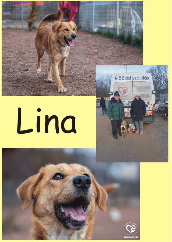Lina
