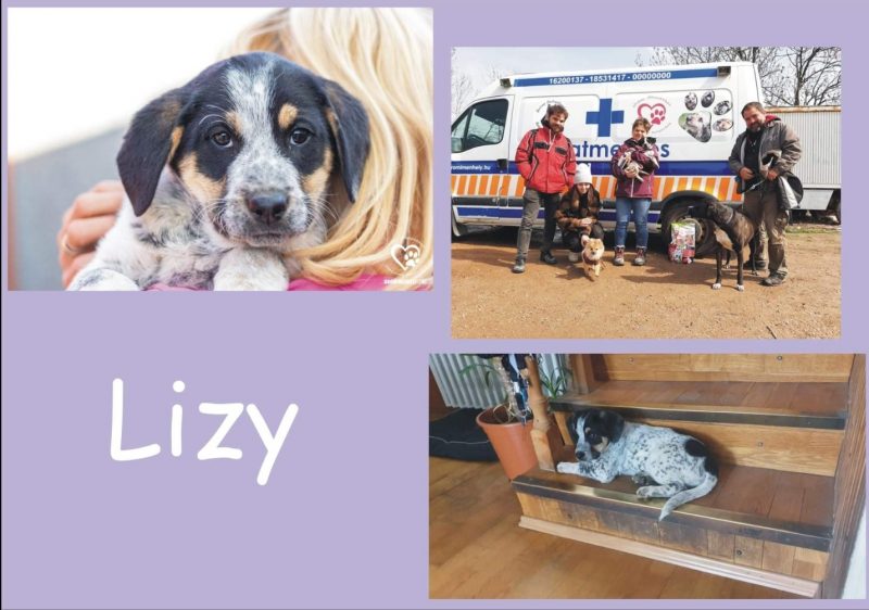 Lizy