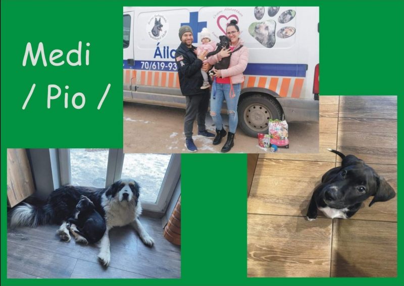 Medi Pio