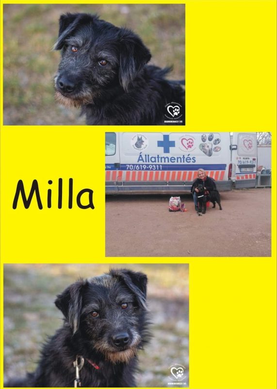 Milla
