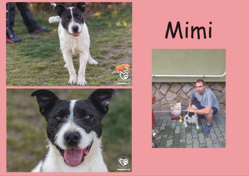 Mimi