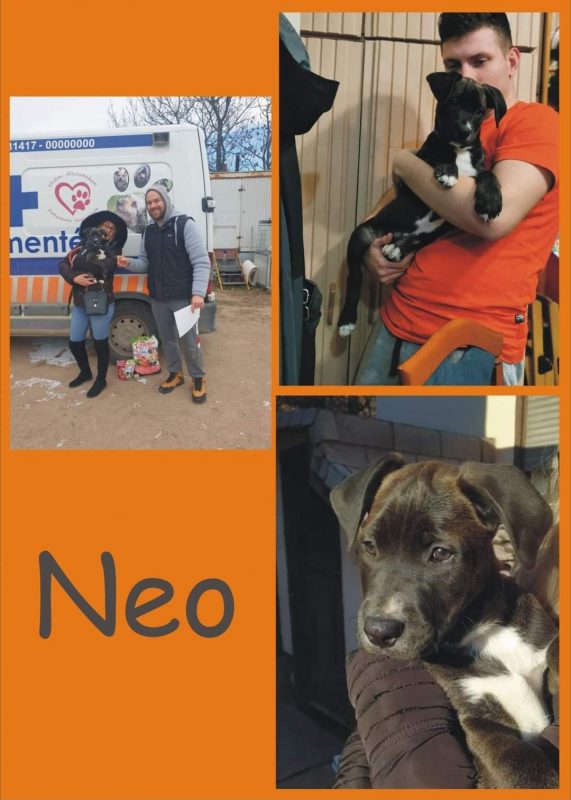 Neo
