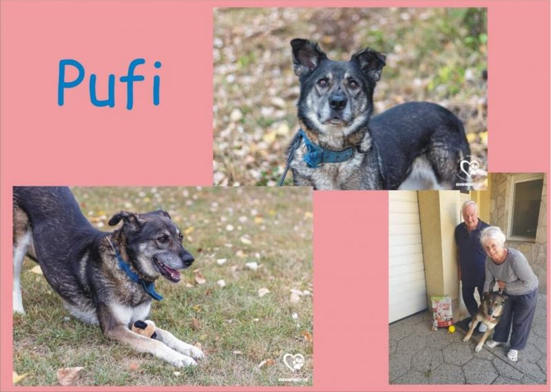 Pufi