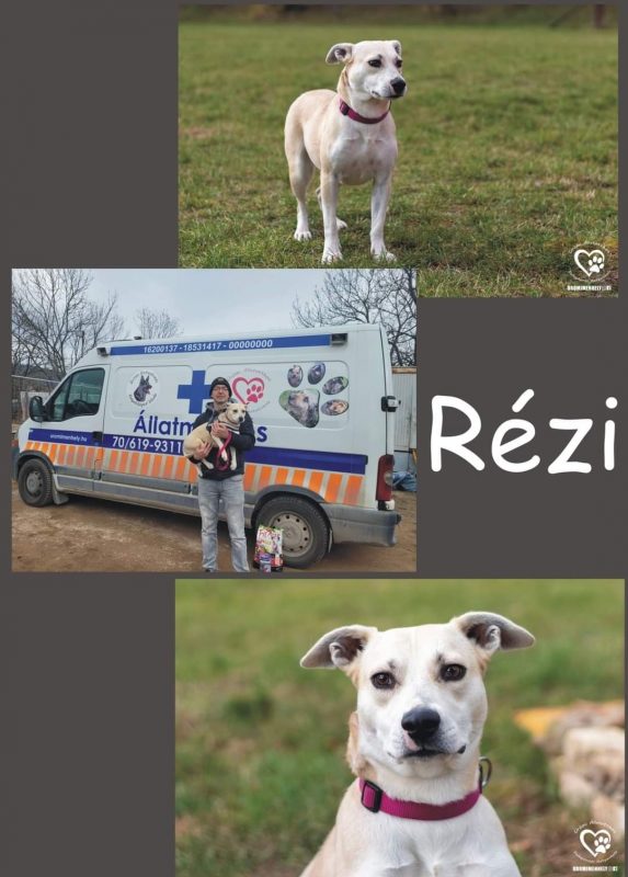 Rézi