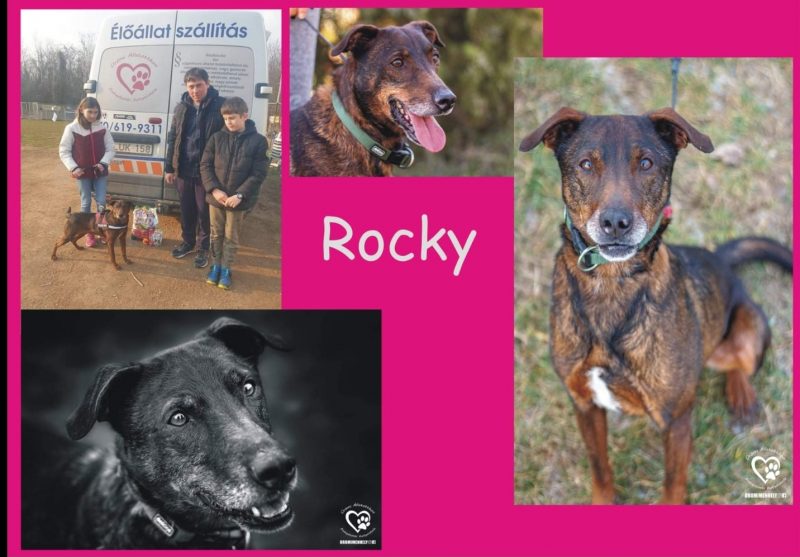 Rocky