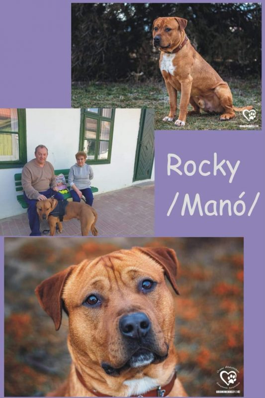 Rocky Manó