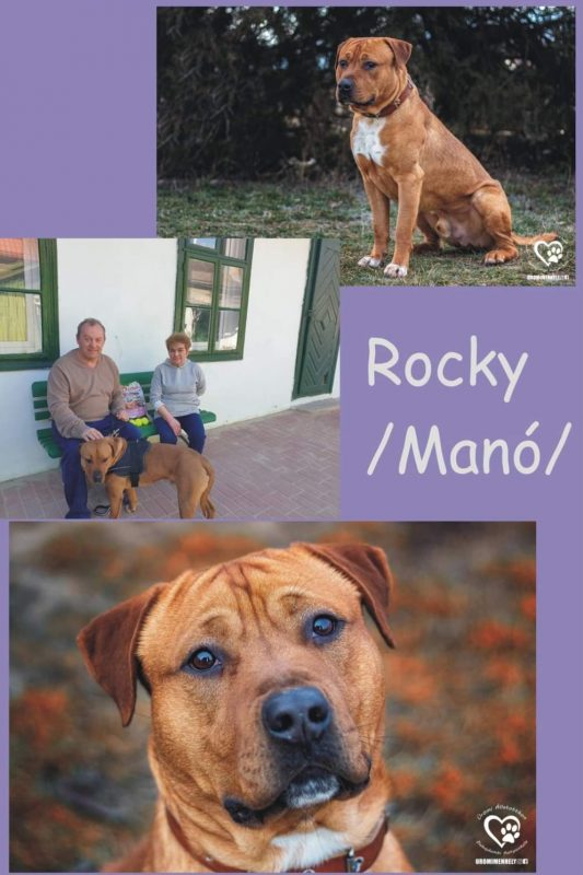 Rocky mano