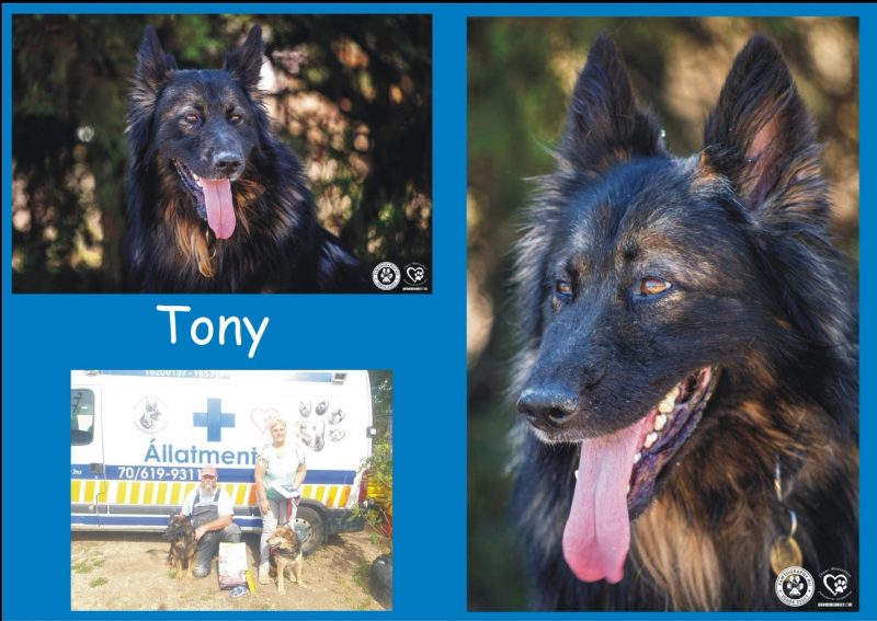 Tony