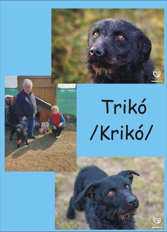 Trikokriko