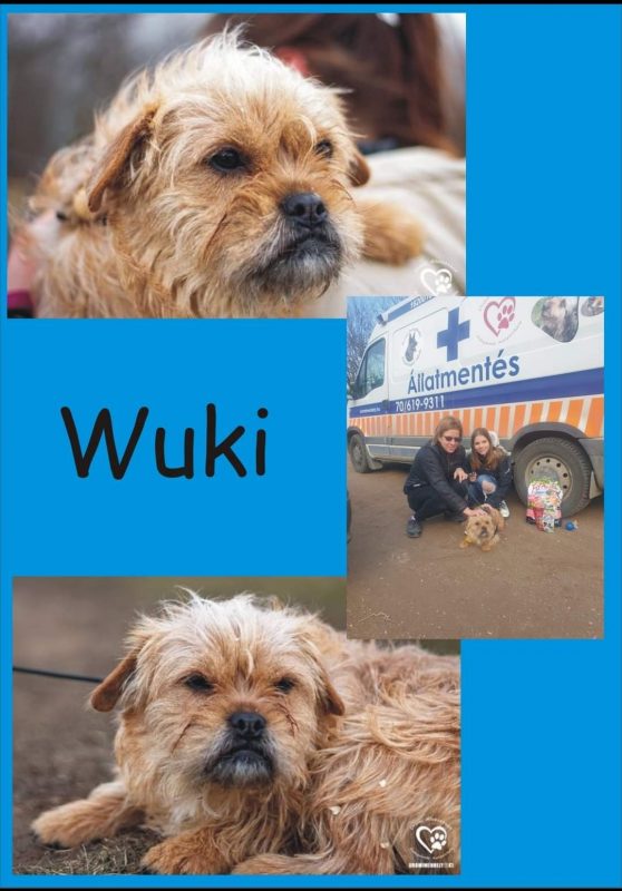 Wuki